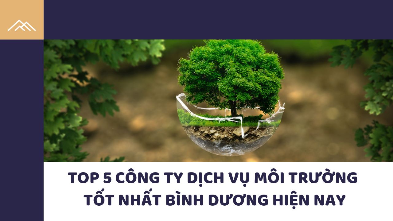 Top 5 công ty dịch vụ môi trường tốt nhất Bình Dương hiện nay