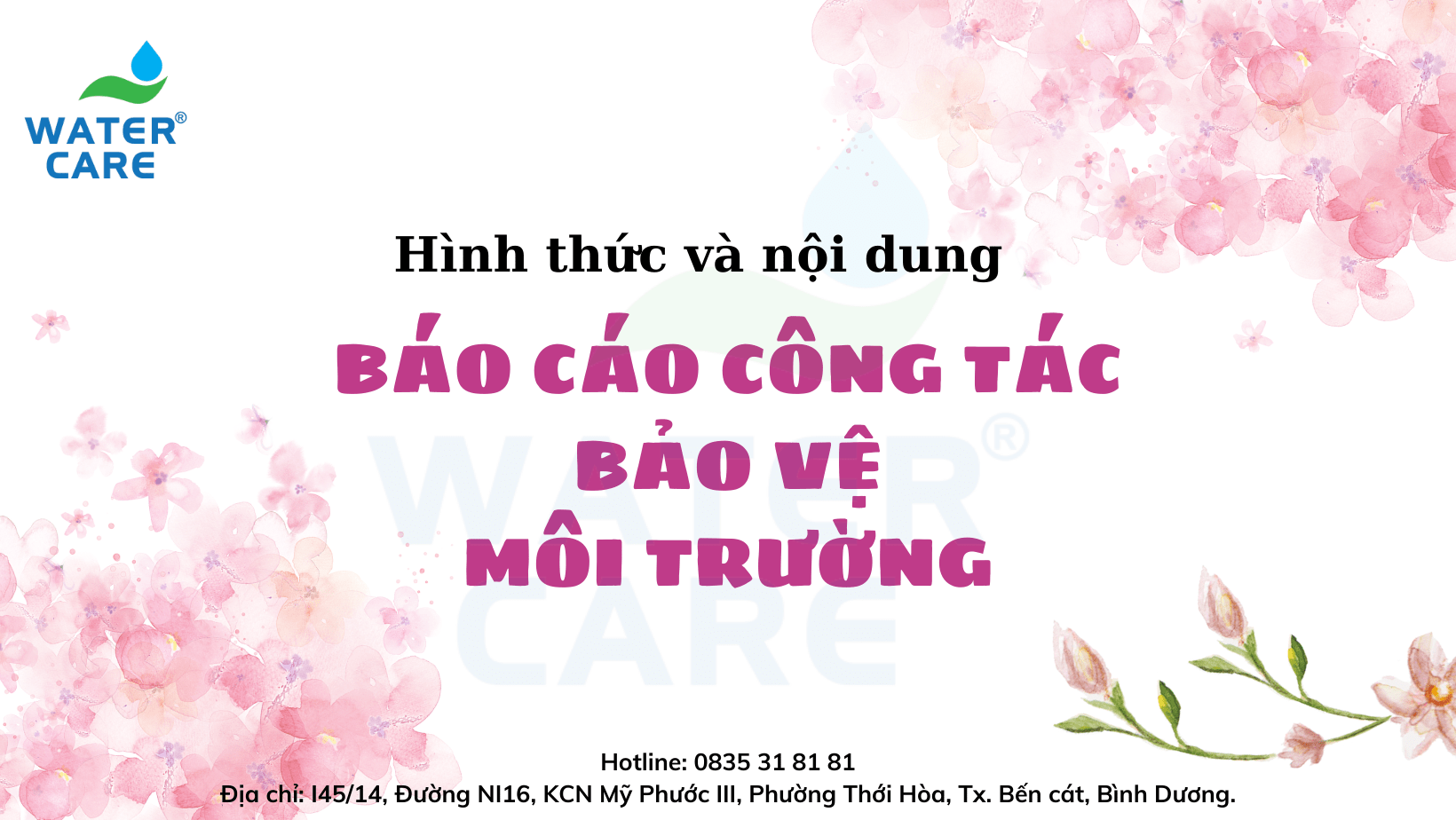 hình thức và nội dung BCCTBVMT-min